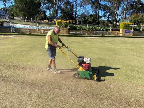 The Saga of the Green 2022 2